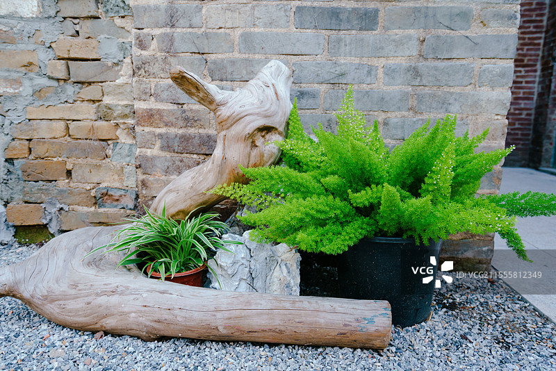 东莞万江，01咖啡店，文艺点设计之美图片素材