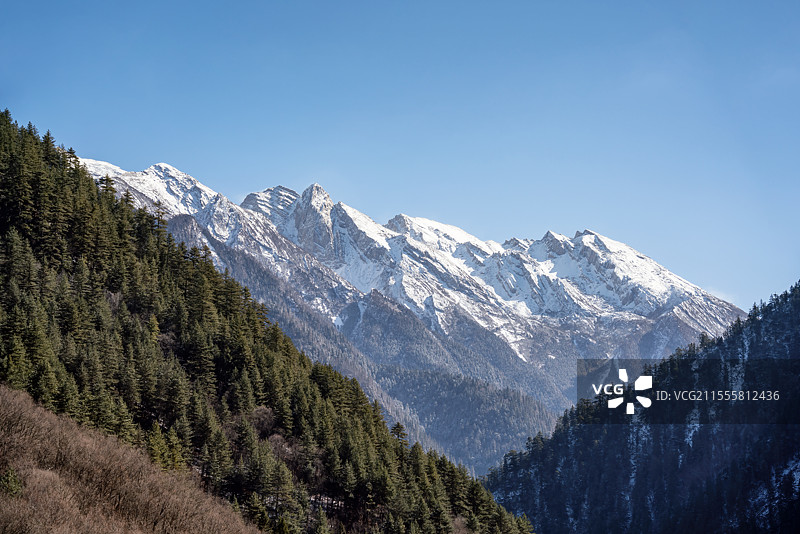 四川阿坝九寨沟珍珠滩瀑布晴天雪景风光竖拍图片素材