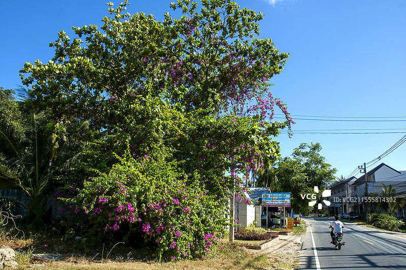 泰国苏梅岛自然风光图片素材
