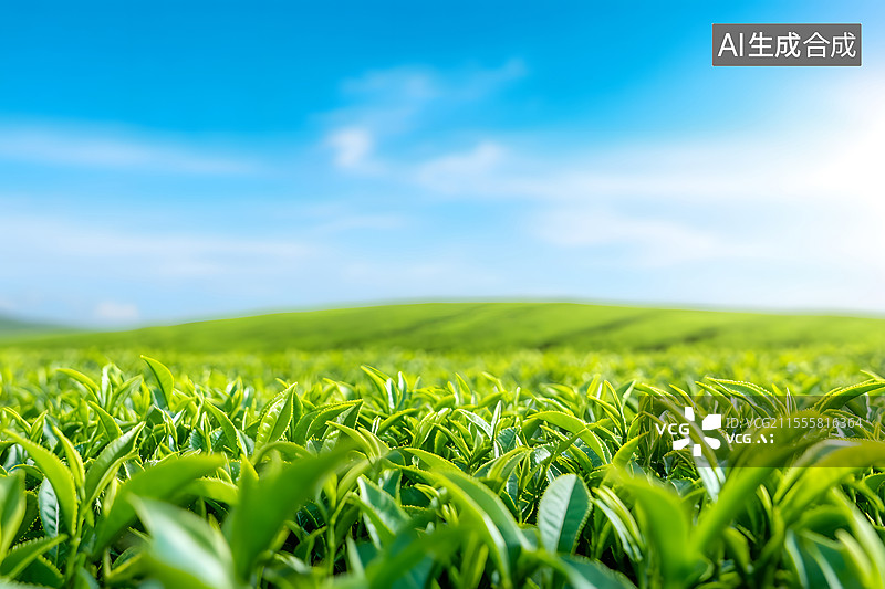 【AI数字艺术】清明时节的茶叶新芽背景图片素材