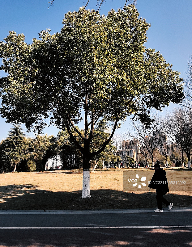 健步老人图片素材