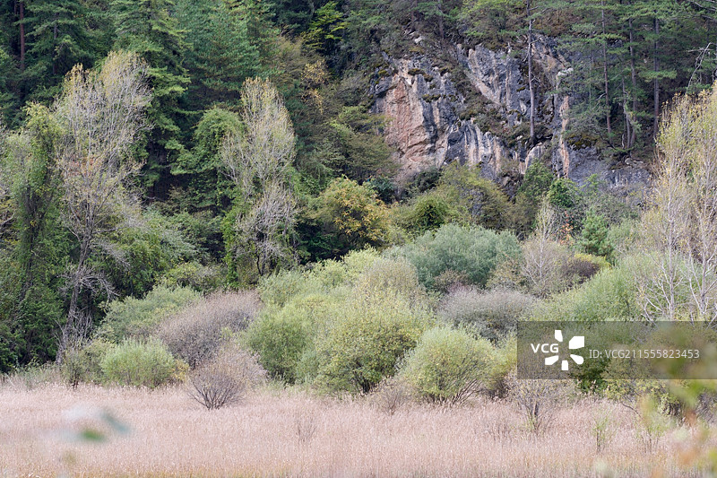 九寨沟彩林图片素材