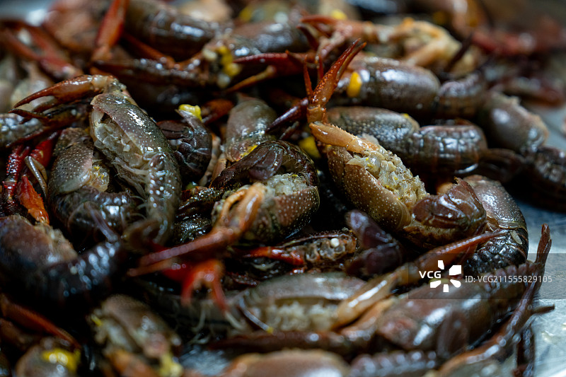 剪小龙虾图片素材