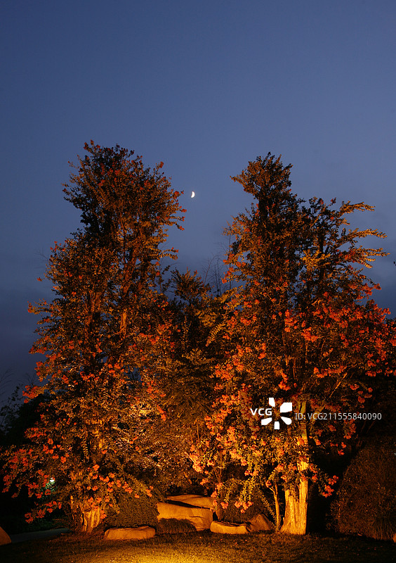 上海郊外的夜晚图片素材