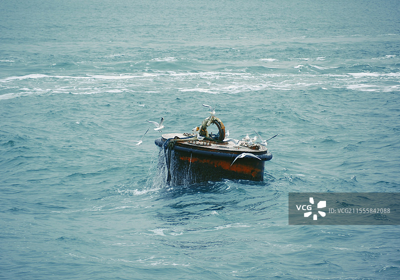 厦门海水里的航道标记物与海鸟图片素材