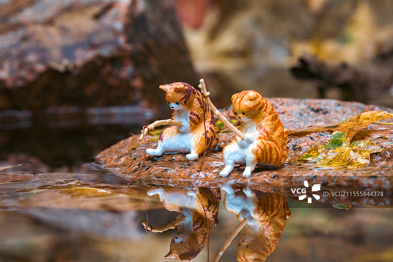 秋日落叶微缩场景迷你钓鱼小猫摆件图片素材