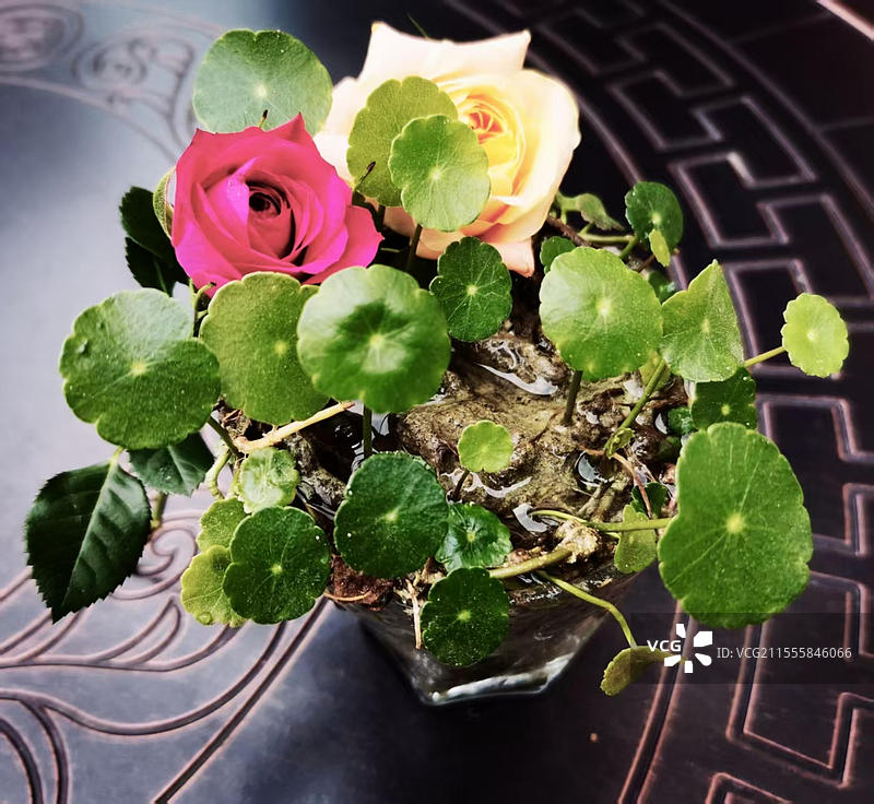 南美天胡荽与月季花的装饰品图片素材