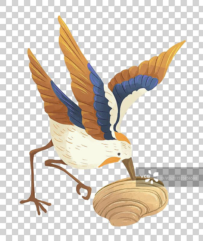 成语故事鹬蚌相争插画图素3图片素材