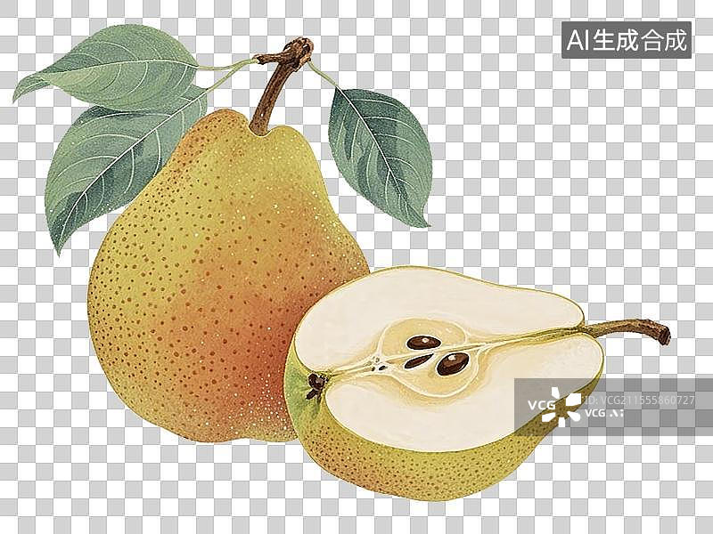 【AI数字艺术】库尔勒香梨，手绘画风格图片素材