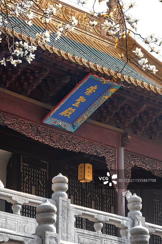 南京朝天宫崇圣殿与白玉兰花图片素材