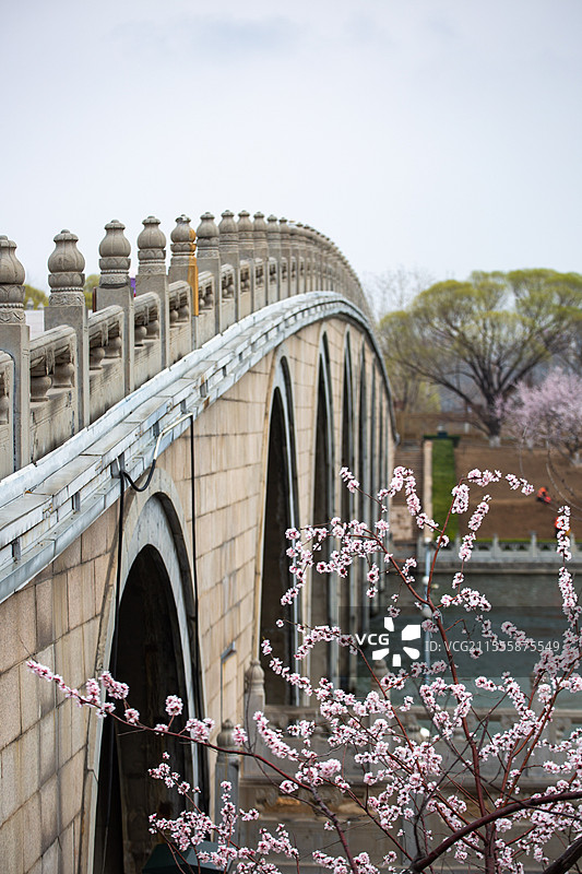 运河边的治愈系暴击！粉白翠绿正在疯狂上分图片素材