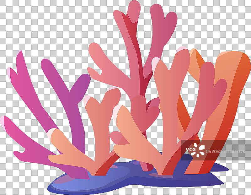 五彩斑斓的水下世界，红色的海珊瑚图片素材