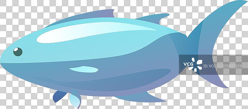 海鲑、鳟鱼、金枪鱼或秋刀鱼图片素材