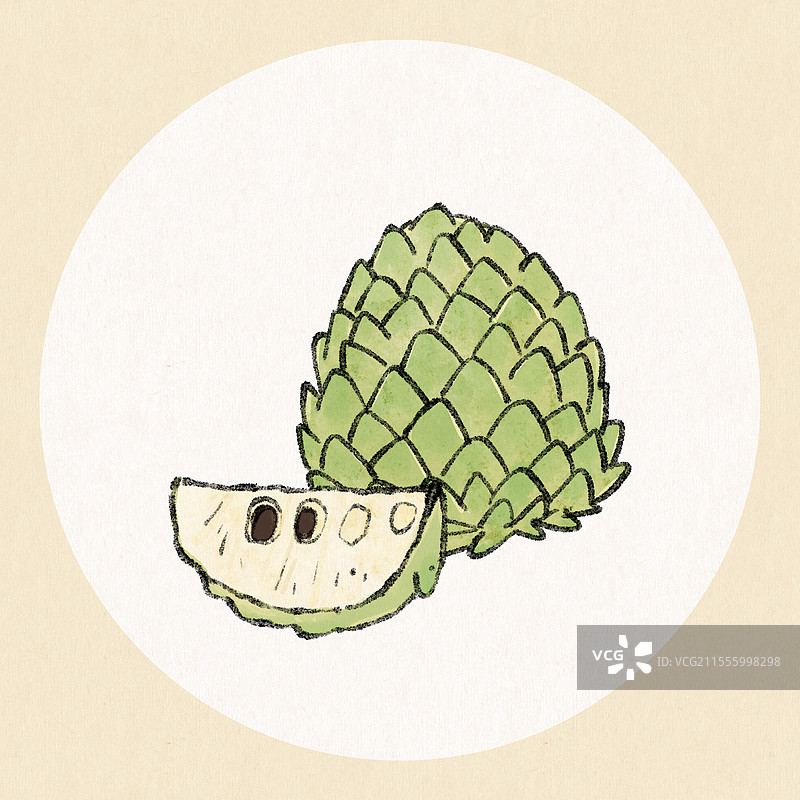 台湾美食国风插画-释迦果图片素材