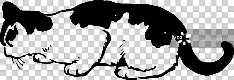 猫 宠物 可爱 花猫 手绘 简笔画 元素 动物图片素材