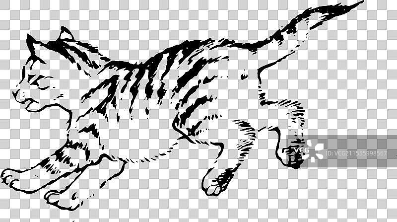 猫 宠物 可爱 花猫 手绘 简笔画 元素 动物图片素材