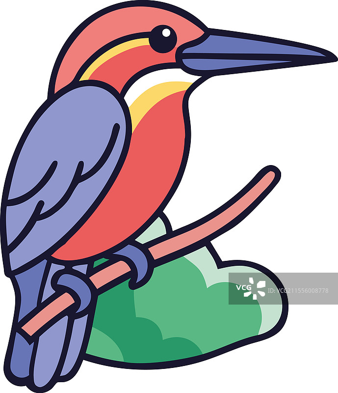 五彩斑斓的翠鸟栖息在岩石上，热带鸟类图片素材