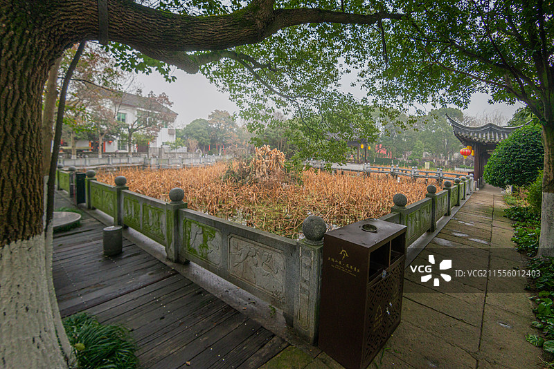 独具水乡风貌的南浔荻港景区（浙江湖州）图片素材