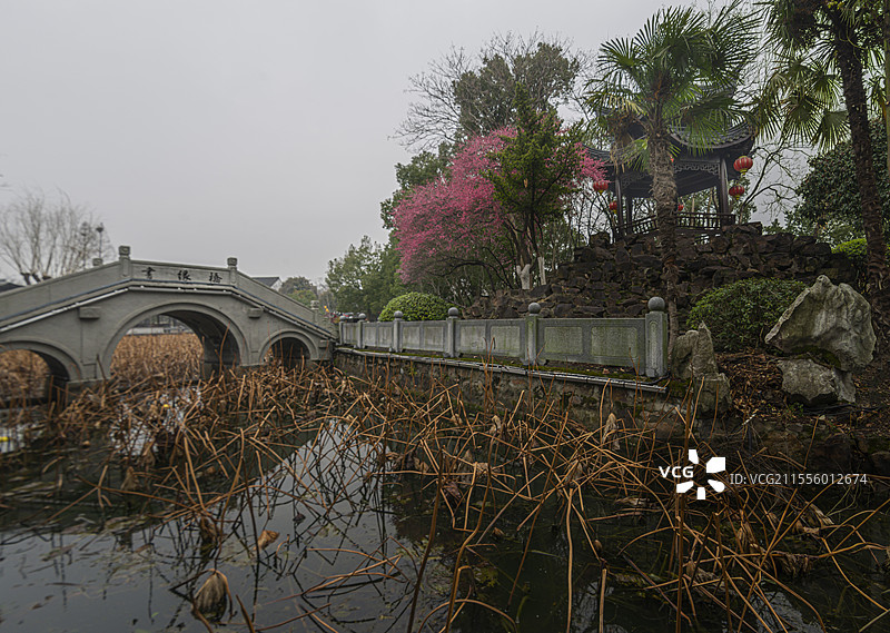 独具水乡风貌的南浔荻港景区（浙江湖州）图片素材