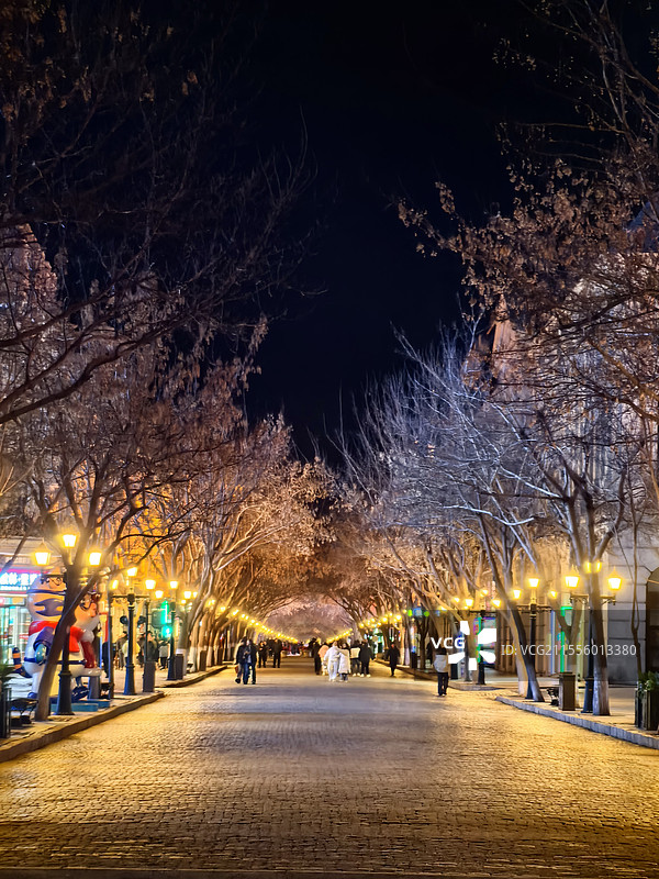 夜晚的中央大街图片素材