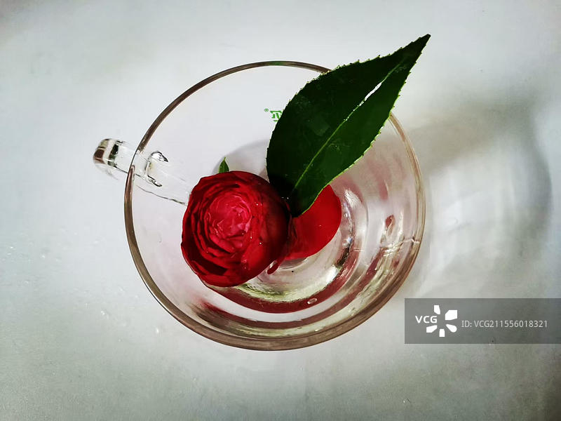 花卉装饰壁纸（鲜花桌面背景图）图片素材