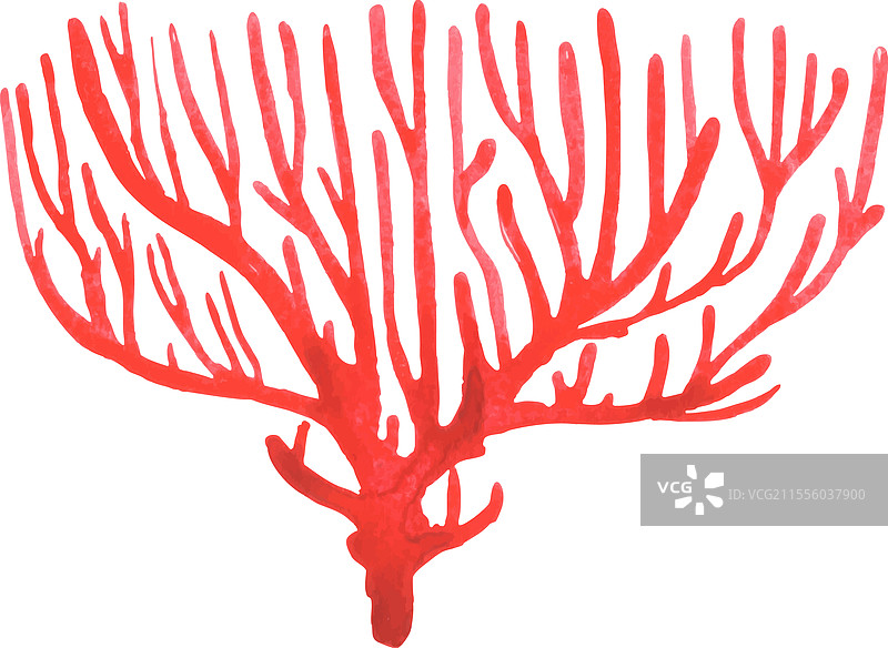 红色珊瑚水彩画用于海洋生物水族馆图片素材