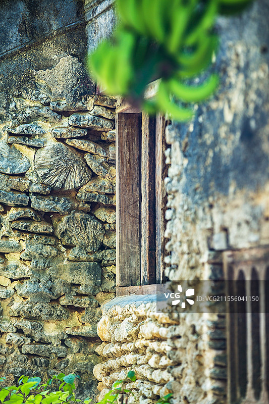 中国海南省三亚市西岛渔村，百年老屋小院里种植的水果图片素材