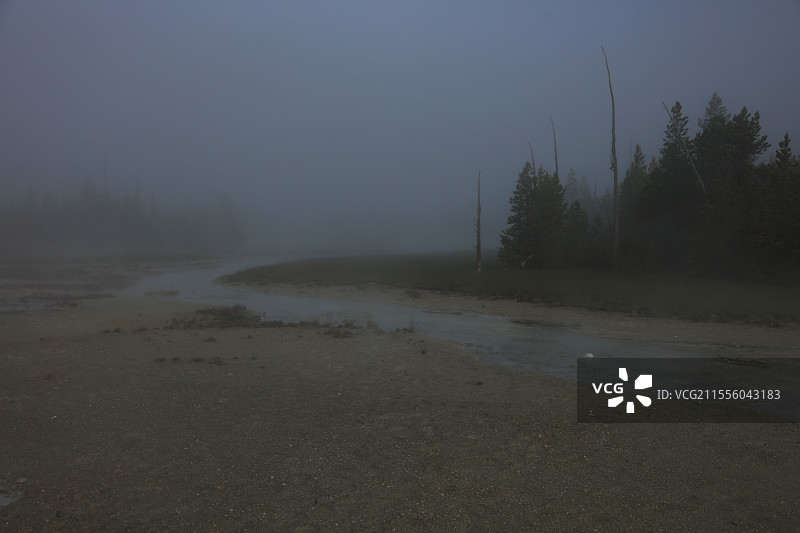 雾中的风景 美国黄石国家公园图片素材