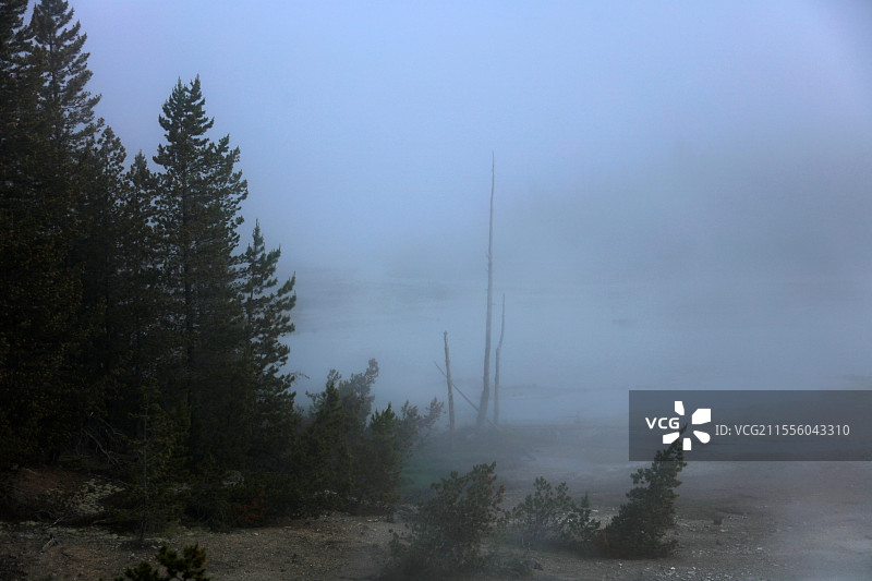 雾中的风景 美国黄石国家公园图片素材