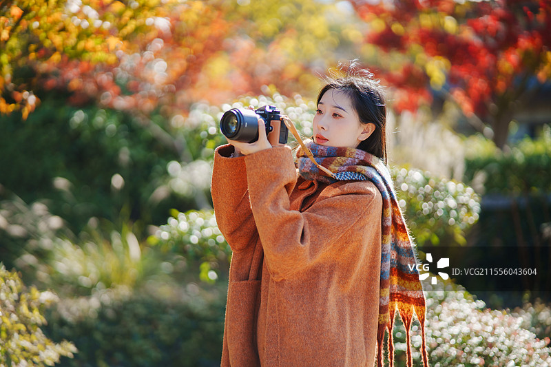 拍摄秋天图片素材