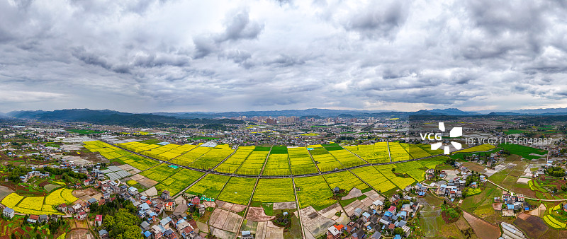 达州市开江县黄金花海油菜花田图片素材