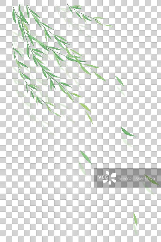 春天的垂柳枝 柳树叶元素图片素材