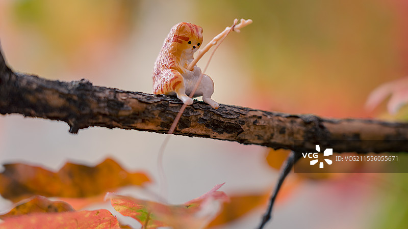 秋日落叶微缩场景迷你钓鱼小猫摆件图片素材