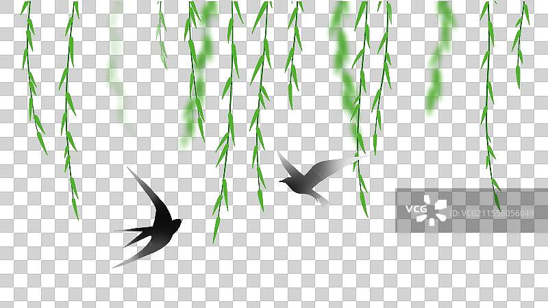 春天的垂柳枝 柳树叶和燕子元素图片素材