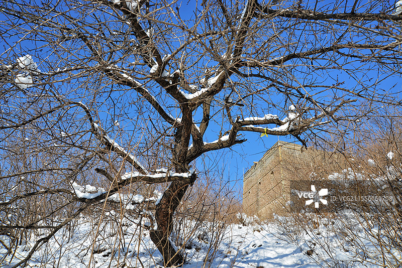 鹿皮关长城春雪图片素材