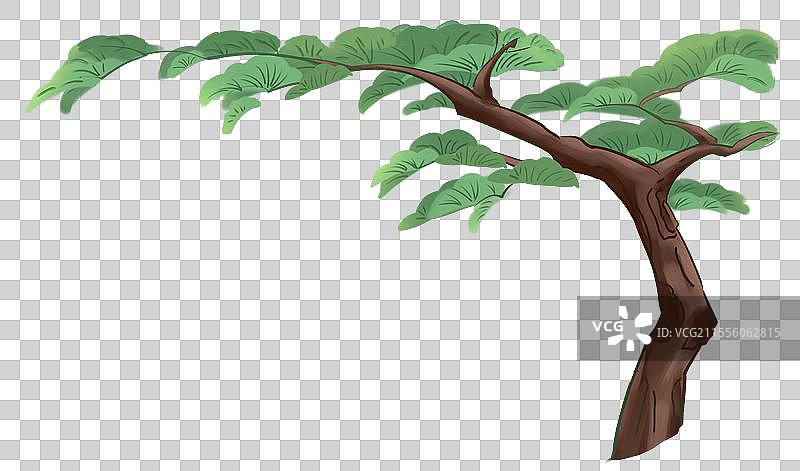 国潮风松树元素图片素材