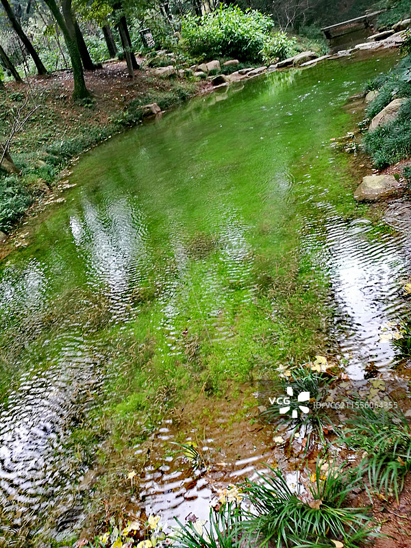 天平山图片素材