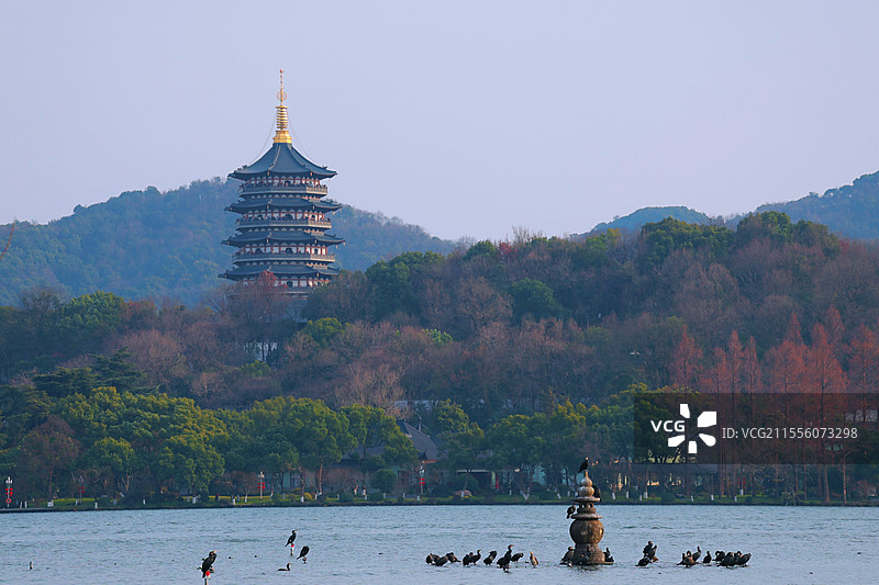 杭州西湖雷峰塔图片素材