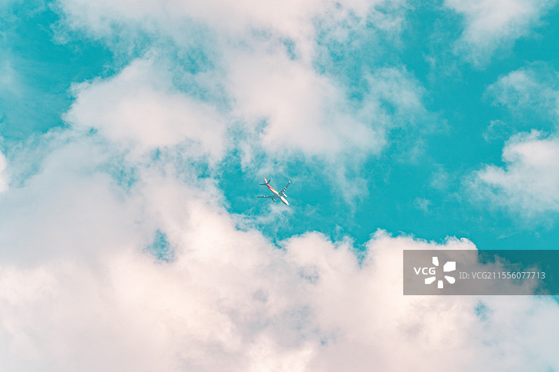 蓝天之掠图片素材