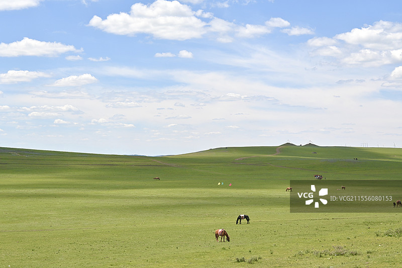 内蒙古辉腾锡勒大草原图片素材