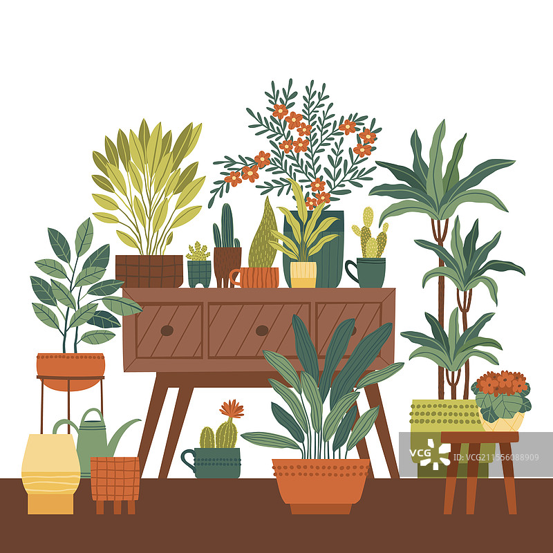 不同花盆中的室内植物花卉角落图片素材