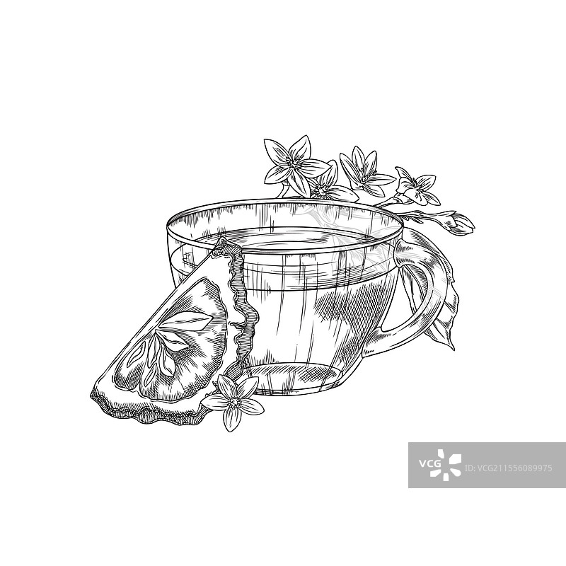 单色素描的茶杯与茶叶图片素材