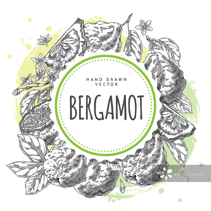 用佛手柑装饰的圆形框架图片素材