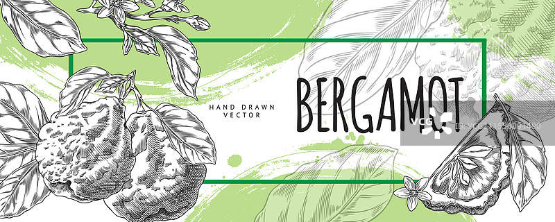 黑色背景上的佛手柑横幅图片素材