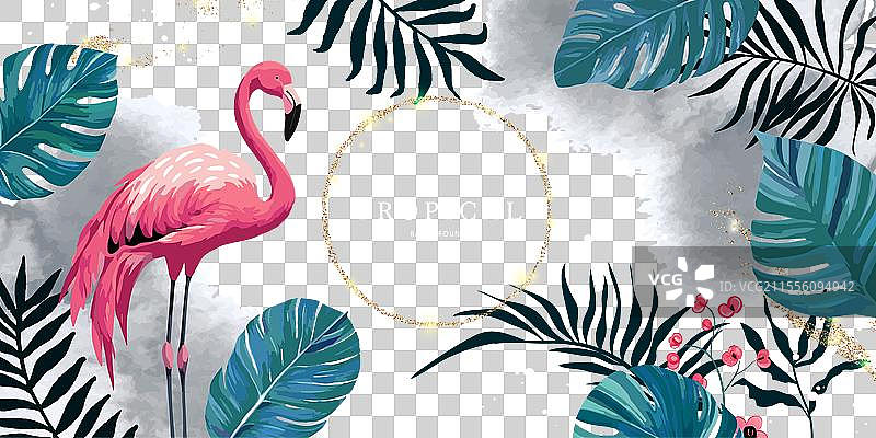 热带背景与粉色火烈鸟图片素材