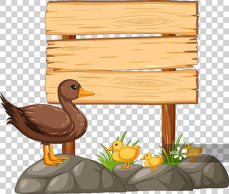 卡通鸭子在空白的木牌旁边图片素材