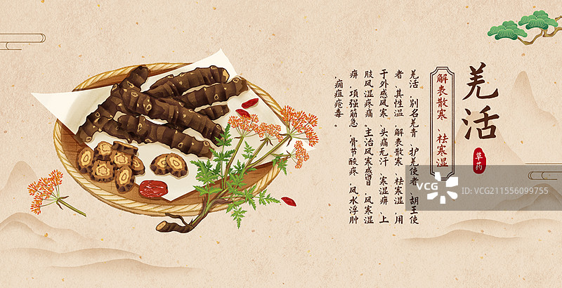 中国传统文化中医养生中草药药材医疗用品之羌活图片素材