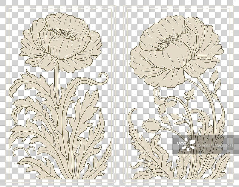 维多利亚艺术风格的牡丹花框架图片素材