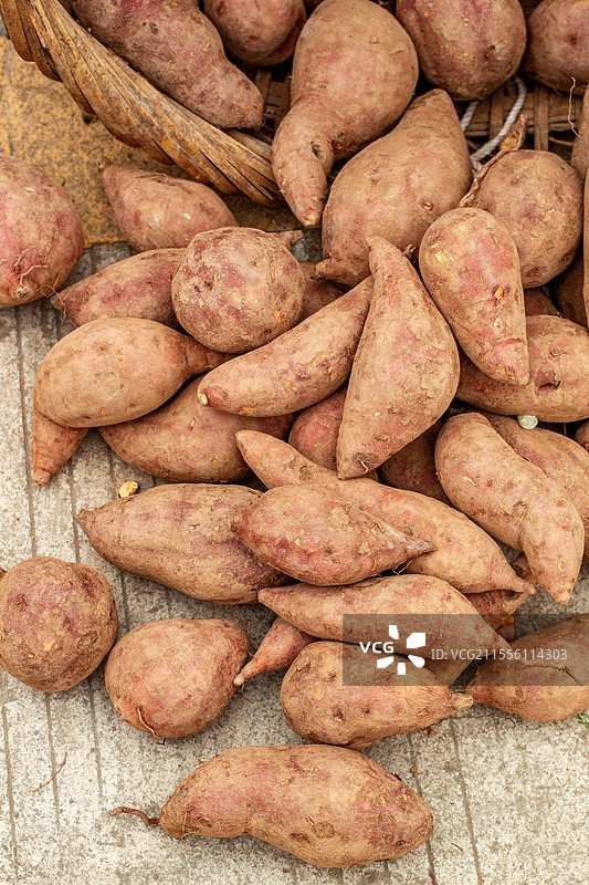 四川省绵阳市户外白昼新鲜出土的红苕，红薯，番薯图片素材