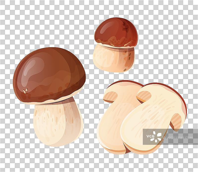 整颗牛肝菌蘑菇图片素材